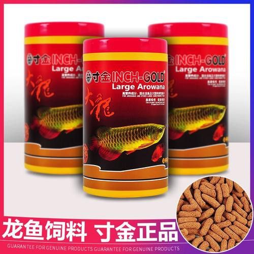 紅色銀龍魚圖片大全
