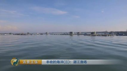 黃龍魚和什么魚一起養:黃龍魚可以與什么魚混養 龍魚百科 第2張 黃龍魚和什么魚一起養:黃龍魚可以與什么魚混養 黃龍魚和什么魚一起養:黃龍魚可以與什么魚混養 龍魚百科 第2張