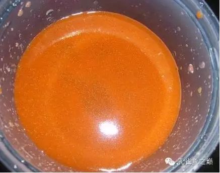 孔雀龍魚繁殖飼料多樣化實踐：孔雀龍魚的繁殖飼料多樣化實踐