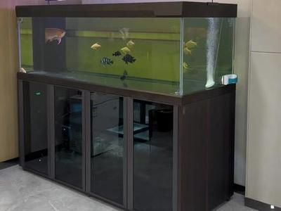 久鼎龍魚缸官網：久鼎龍魚缸官網是一款專業的魚缸產品以其高品質和個性化的設計