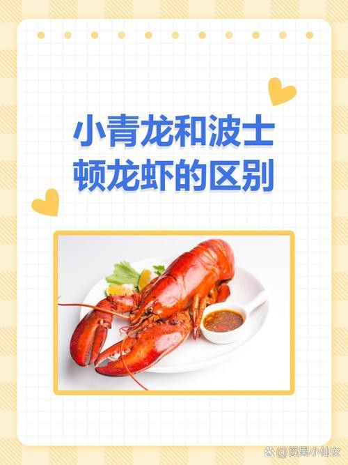 如何區分波士頓龍蝦和小青龍？