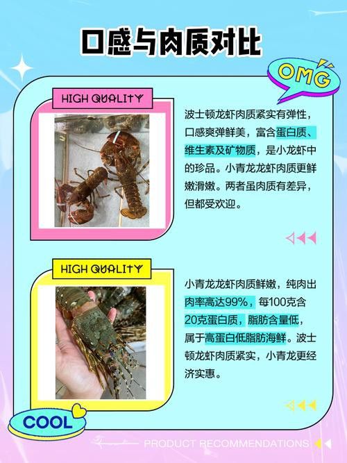 如何區分波士頓龍蝦和小青龍？