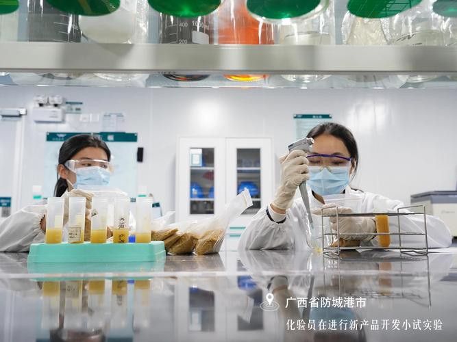 金龍魚化驗員
