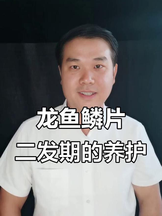 如何增強金龍魚鱗片的光澤感？