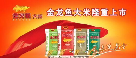 金龍魚(yú)廣告倒放：關(guān)于金龍魚(yú)廣告倒放的相關(guān)信息：金龍魚(yú)廣告倒放的相關(guān)信息