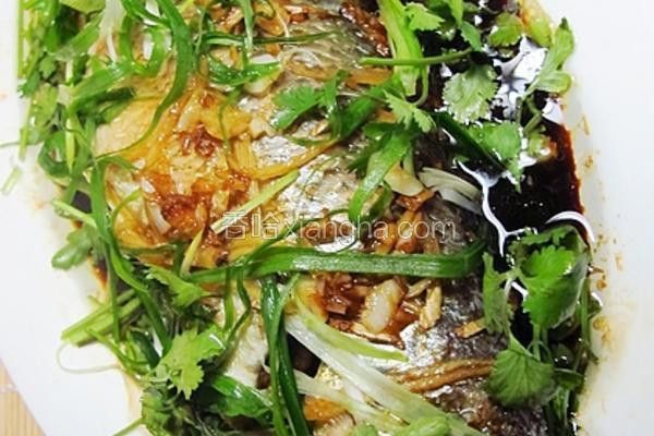 清蒸紅龍魚需要多長時間？