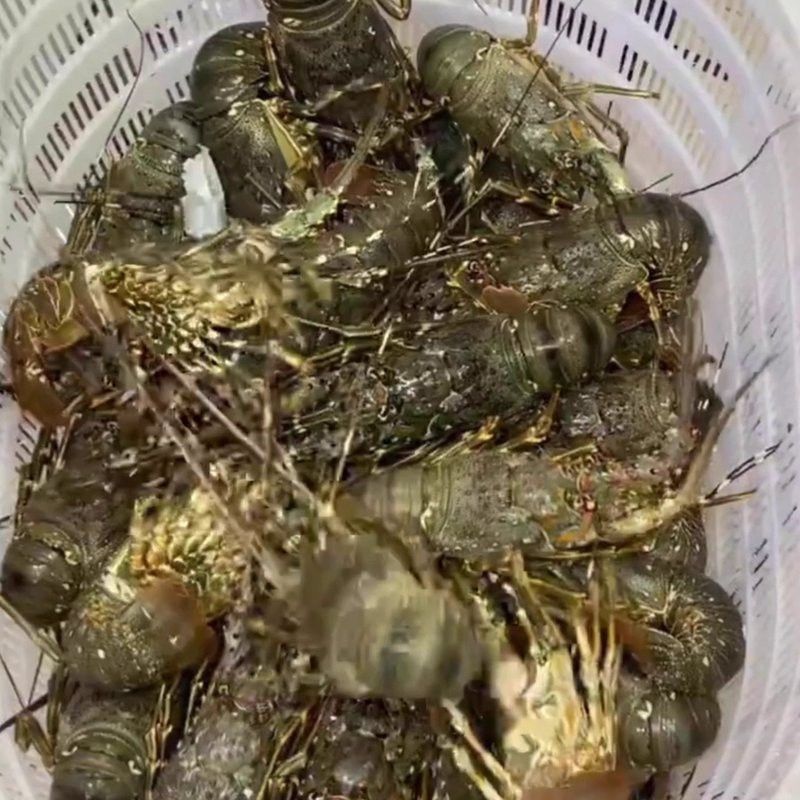 產地直供的小青龍有哪些優勢？