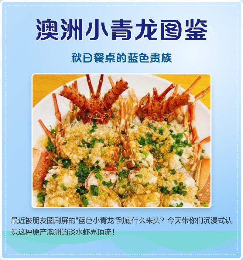 產地直供的小青龍有哪些優勢？