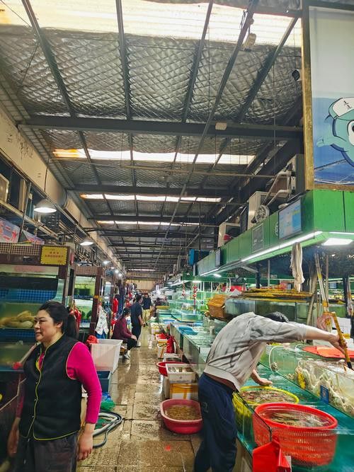 延安龍魚專賣店