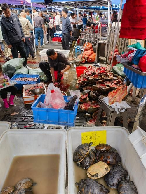 延安龍魚專賣店
