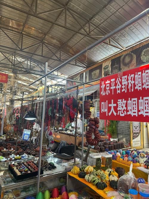 延安龍魚專賣店