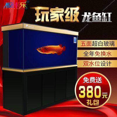 龍魚缸水位的適宜范圍（養龍魚時魚缸的水位控制在30到50厘米之間最為合適）