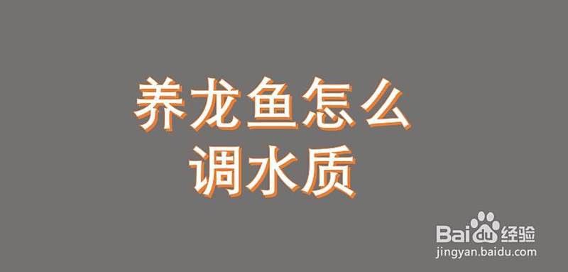 如何維持龍魚繁殖所需的水質(zhì)？
