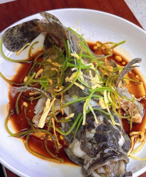 如何區分其他種類的石斑魚？