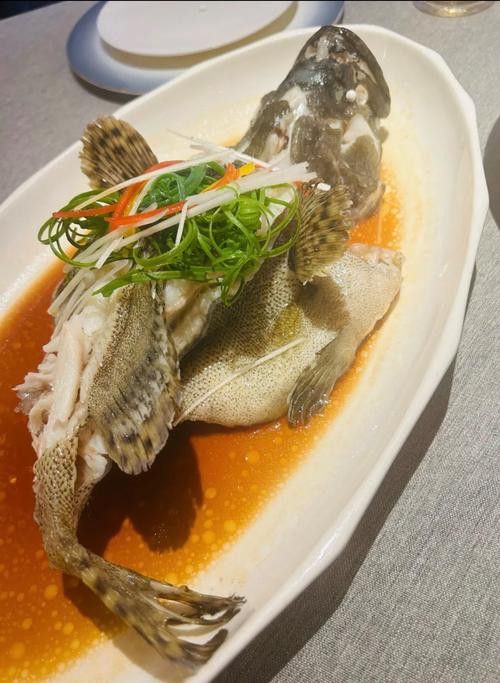 如何區分其他種類的石斑魚？