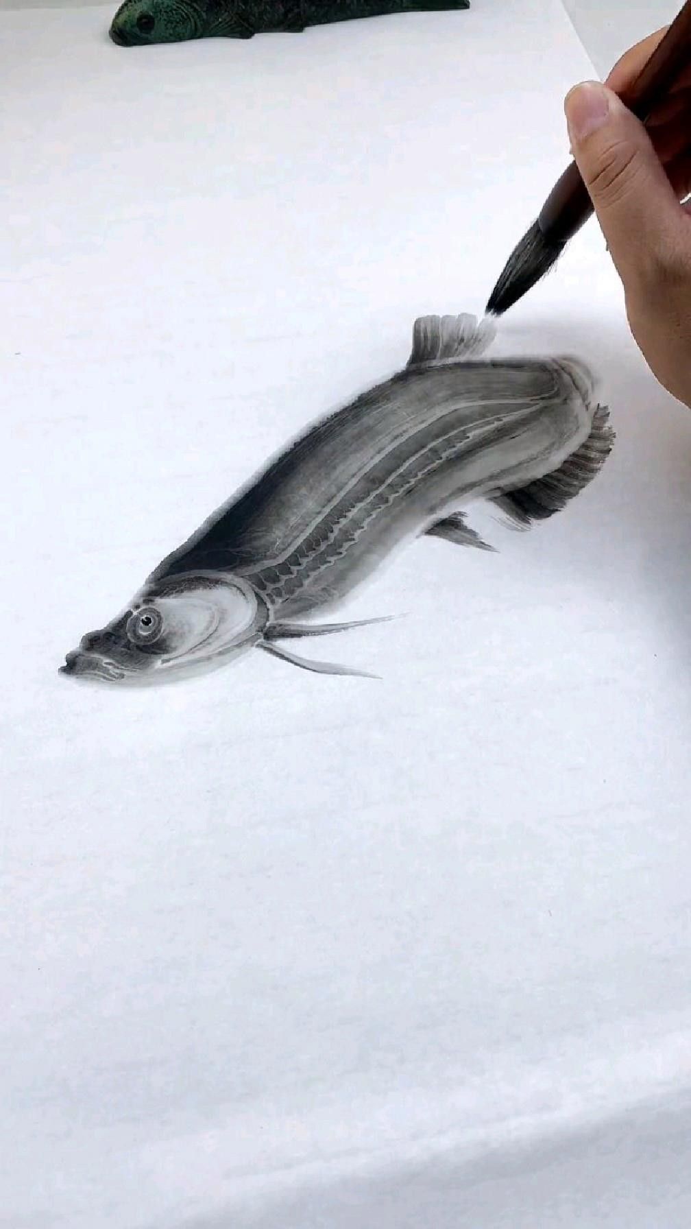 有沒有不同角度的金龍魚高清圖片？