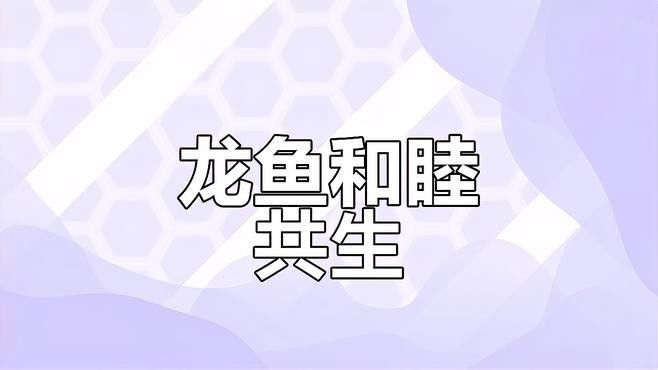 大龍魚的圖片大全集