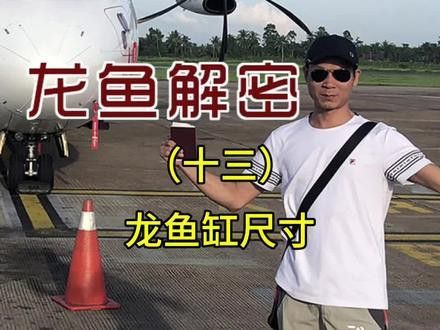 養龍魚適合多大的缸和水