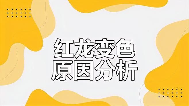 如何判斷紅龍魚的健康狀況？