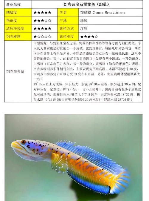 像雷龍魚的魚類圖片