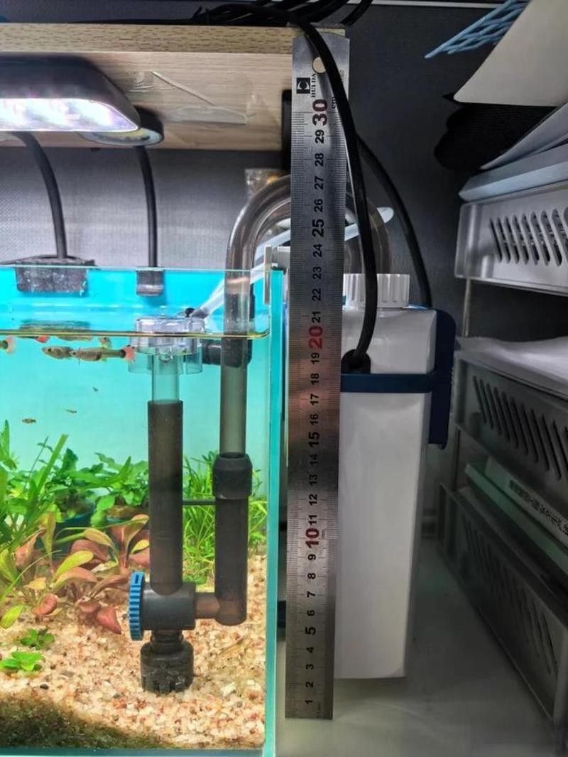龍魚50公分時需要多大的過濾系統？