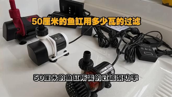 龍魚50公分時需要多大的過濾系統？