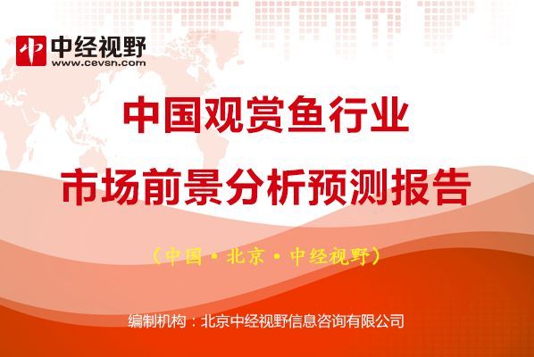 名貴觀賞魚投資價值評估：名貴觀賞魚的投資價值評估