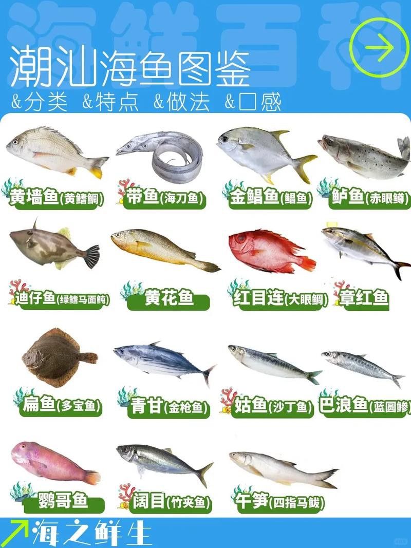潮汕龍魚圖片大全