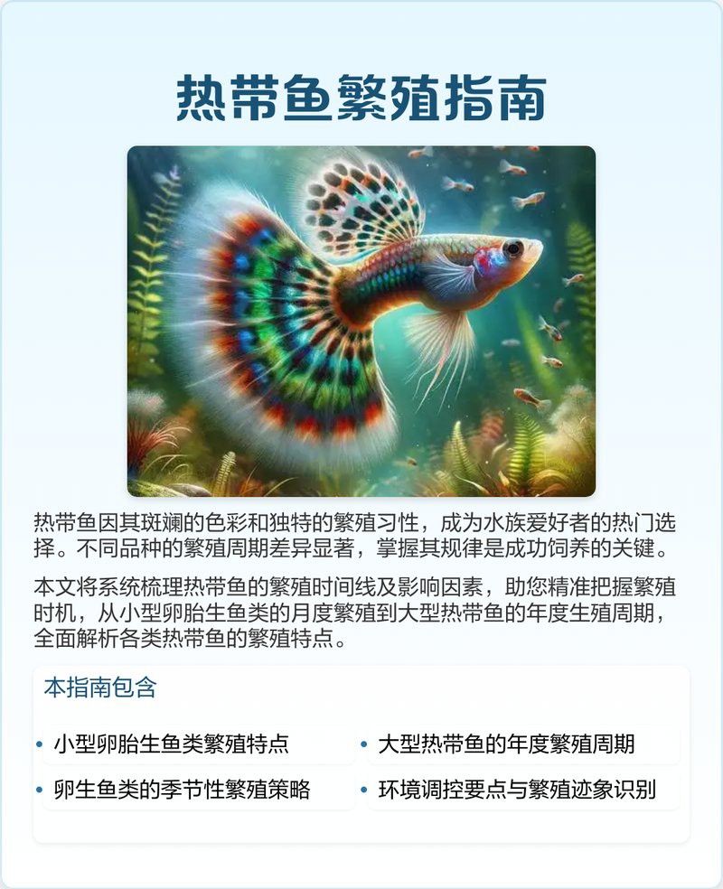 如何判斷金龍魚是否懷孕？ 如何判斷金龍魚是否懷孕？ 龍魚百科 第8張