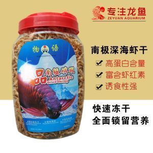 龍魚喂飼料好嗎：喂食龍魚飼料有哪些注意事項？