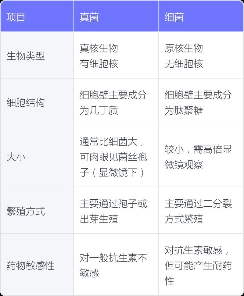 能提供更多細菌和真菌的鑒別要點嗎？