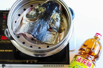 金龍魚魚頭起泡怎么辦：金龍魚頭起泡怎么辦