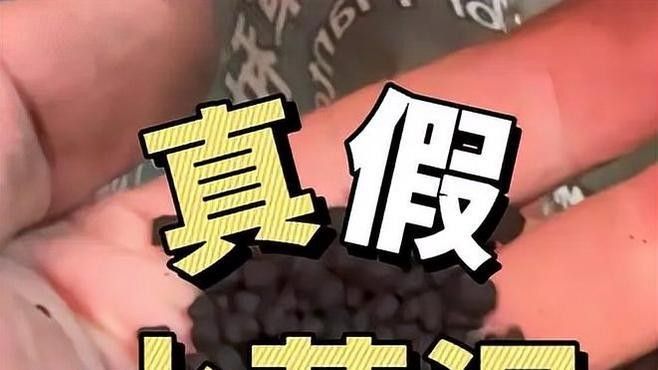 龍魚缸造景需要造景嗎圖片欣賞