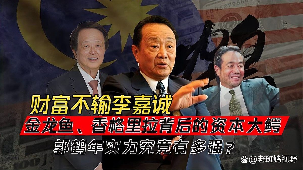 金龍魚高管團隊中哪位背景最突出？