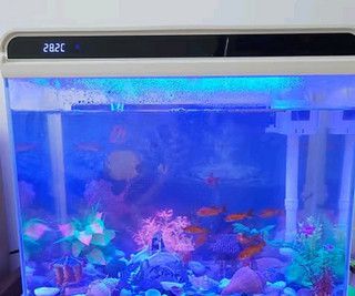 森森魚缸燈光使用說(shuō)明，森森魚缸燈光使用說(shuō)明摘要：森森魚缸燈光節(jié)能技巧