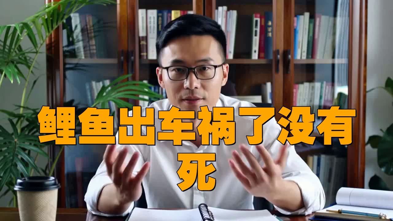 鯉魚真的出車禍了嗎視頻