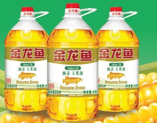 金龍魚最貴的多少錢（金龍魚價格波動原因分析金龍魚價格波動原因）