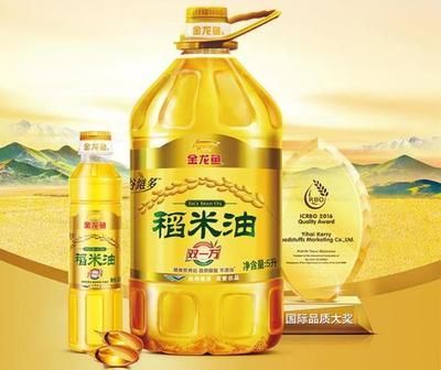 金龍魚最貴的多少錢（金龍魚價格波動原因分析金龍魚價格波動原因）