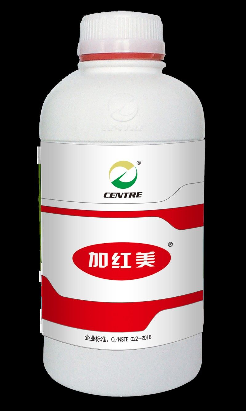 龍魚(yú)鰓蓋損傷后如何預(yù)防感染？