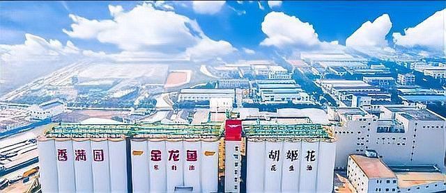 金龍魚哪個國家品牌好 金龍魚哪個國家品牌好 龍魚百科 第6張