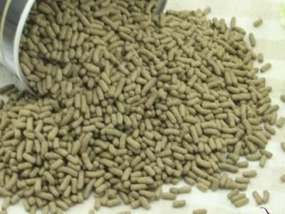 龍魚變白了怎么回事：龍魚變白怎么辦