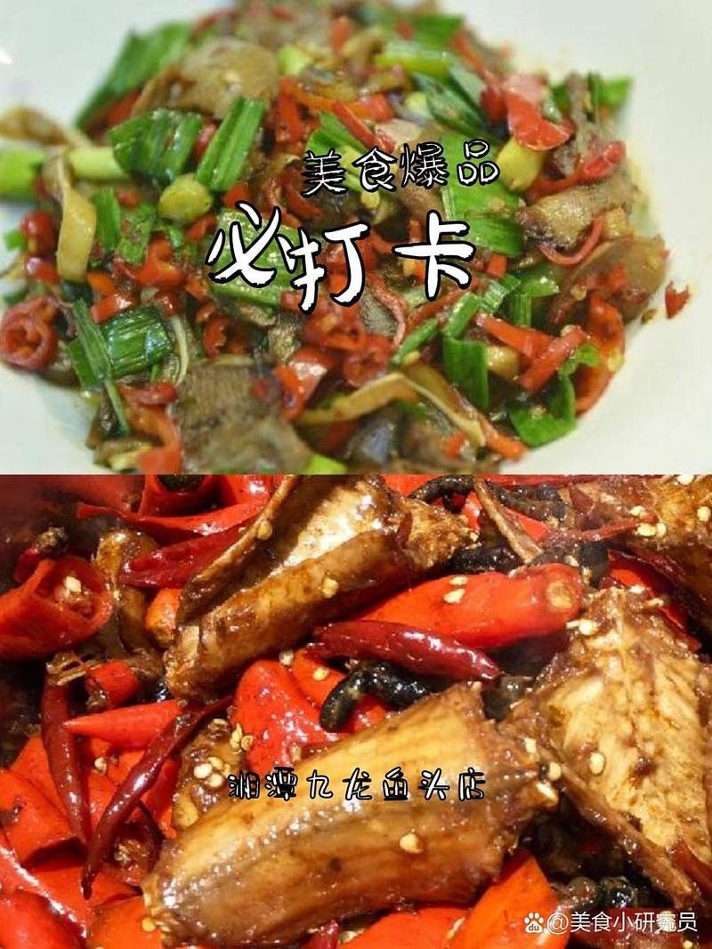 長(zhǎng)沙湘潭九龍魚(yú)頭