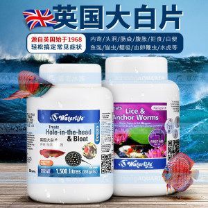 龍魚(yú)吃大白片可以嗎：龍魚(yú)可以吃大白片嗎