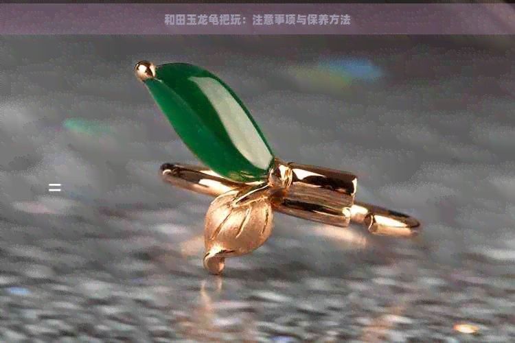 龍龜如何清潔保養(yǎng)？