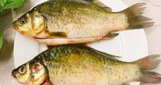 喂食龍魚冷凍魚好還是魚干好吃些：冷凍魚好還是魚干好吃