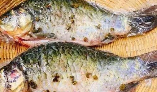 喂食龍魚冷凍魚好還是魚干好吃些：冷凍魚好還是魚干好吃