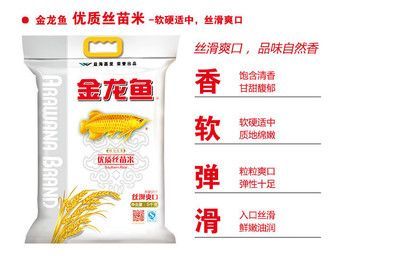 金龍魚清香絲苗米5kg：金龍魚清香絲苗米5kg價格