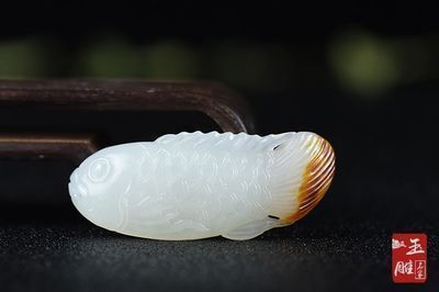 金龍魚跟紅龍魚哪個招財（金龍魚與紅龍魚的區別）