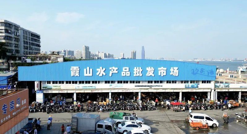 湛江龍魚批發市場在哪里啊最近