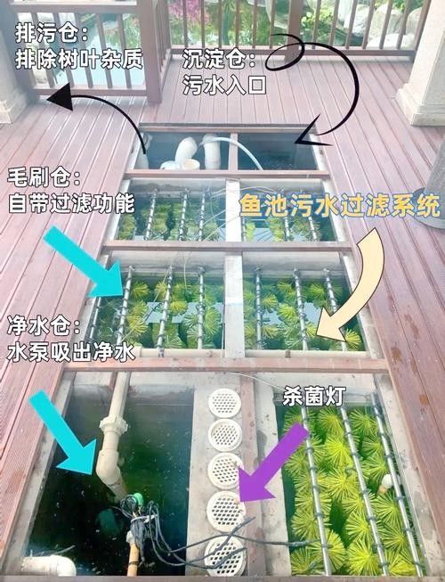 龍魚只要配什么過濾材料才好